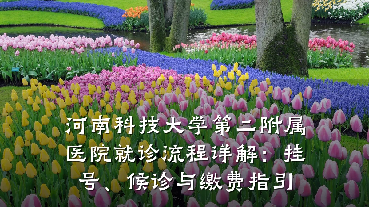 河南科技大学第二附属医院就诊流程详解：挂号、候诊与缴费指引