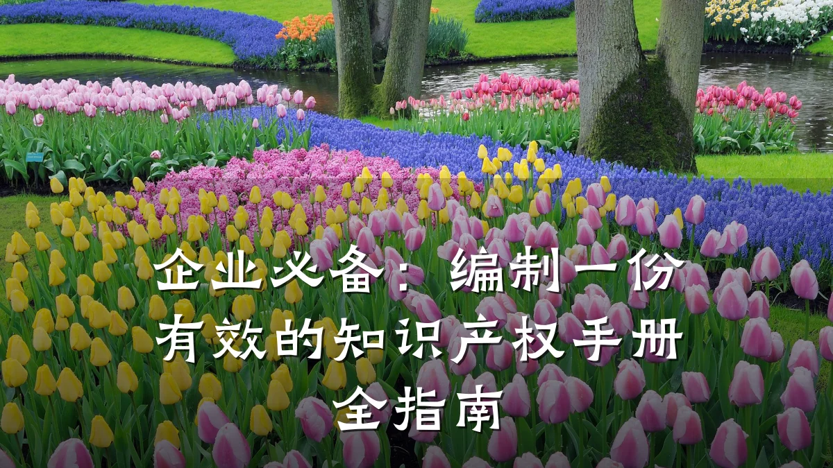 企业必备:编制一份有效的知识产权手册全指南