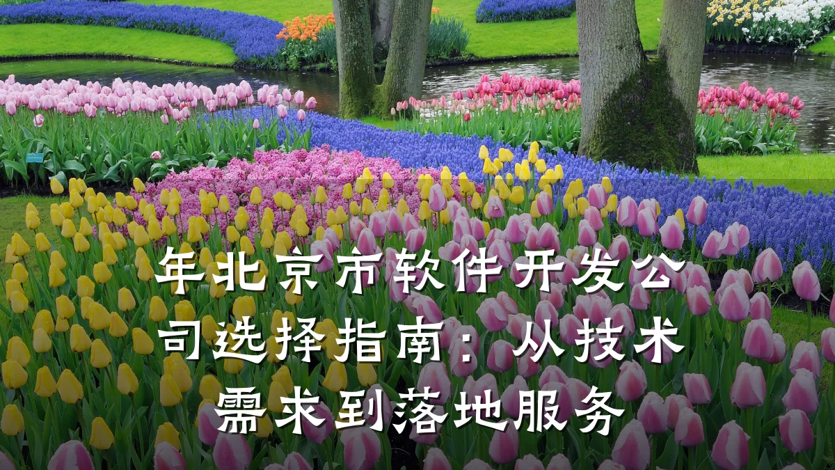 年北京市软件开发公司选择指南:从技术需求到落地服务