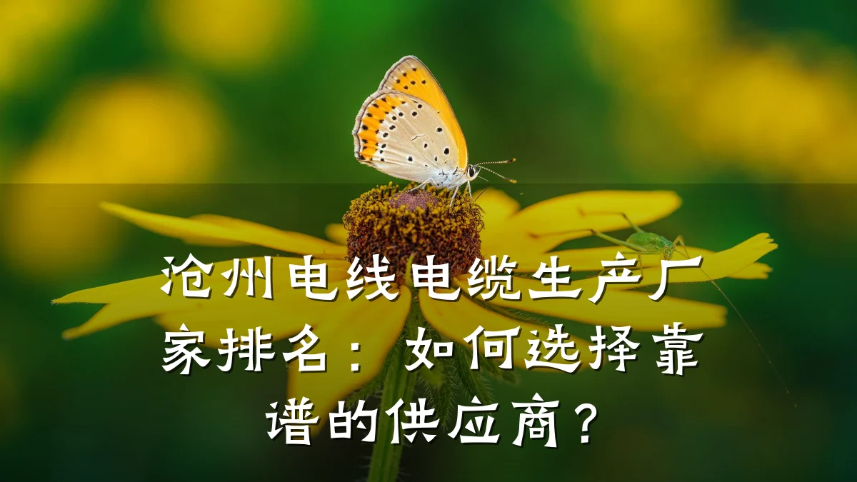 沧州电线电缆生产厂家排名:如何选择靠谱的供应商?