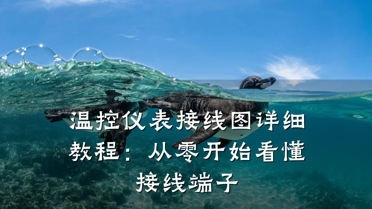 温控仪表接线图详细教程:从零开始看懂接线端子