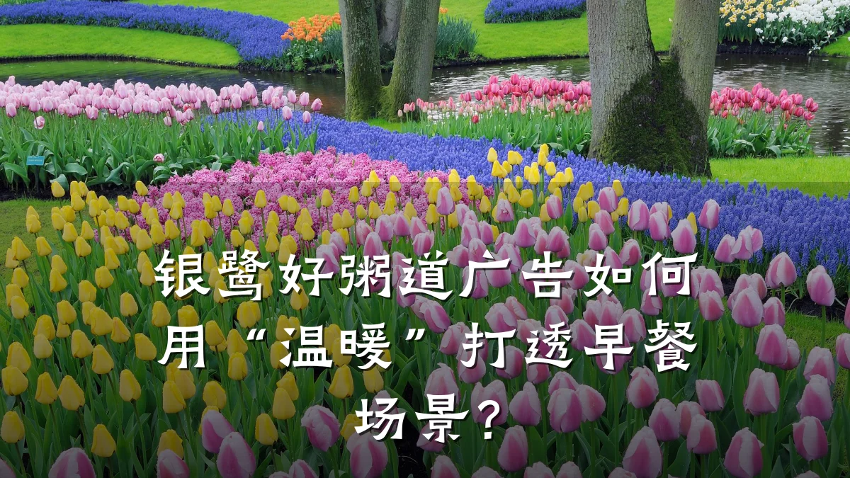 银鹭好粥道广告如何用“温暖”打透早餐场景?