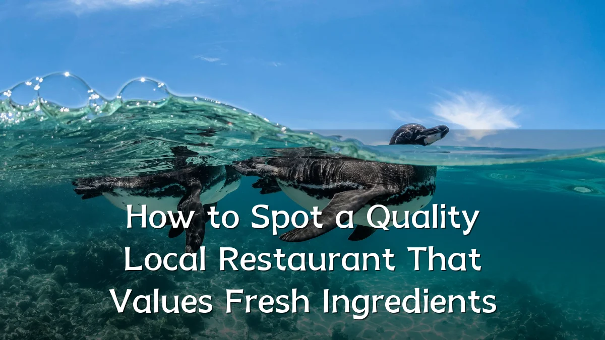 How to Spot a Quality Local Restaurant That Values Fresh Ingredients