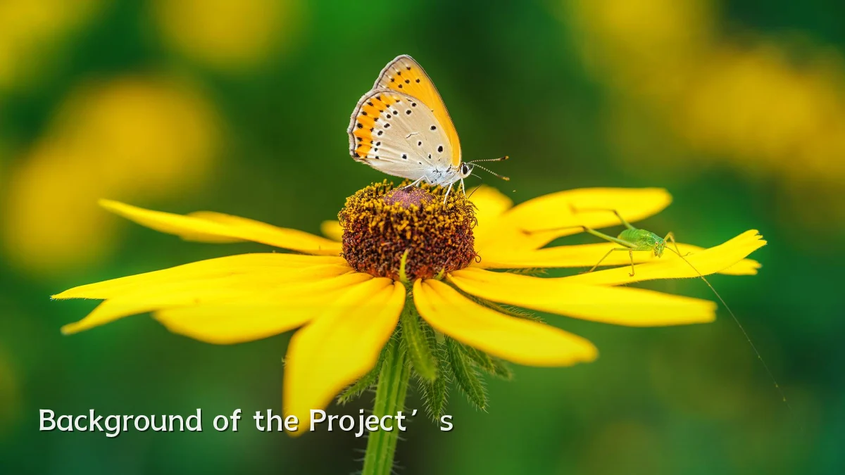 Background of the Project’s