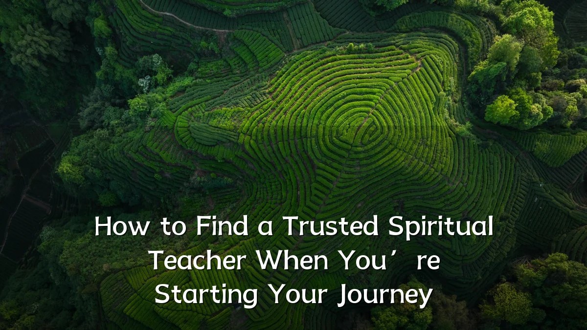 How to Find a Trusted Spiritual Teacher When You’re Starting Your Journey