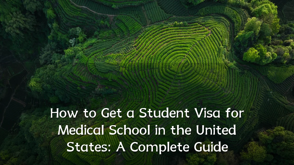 How to Get a Student Visa for Medical School in the United States: A Complete Guide