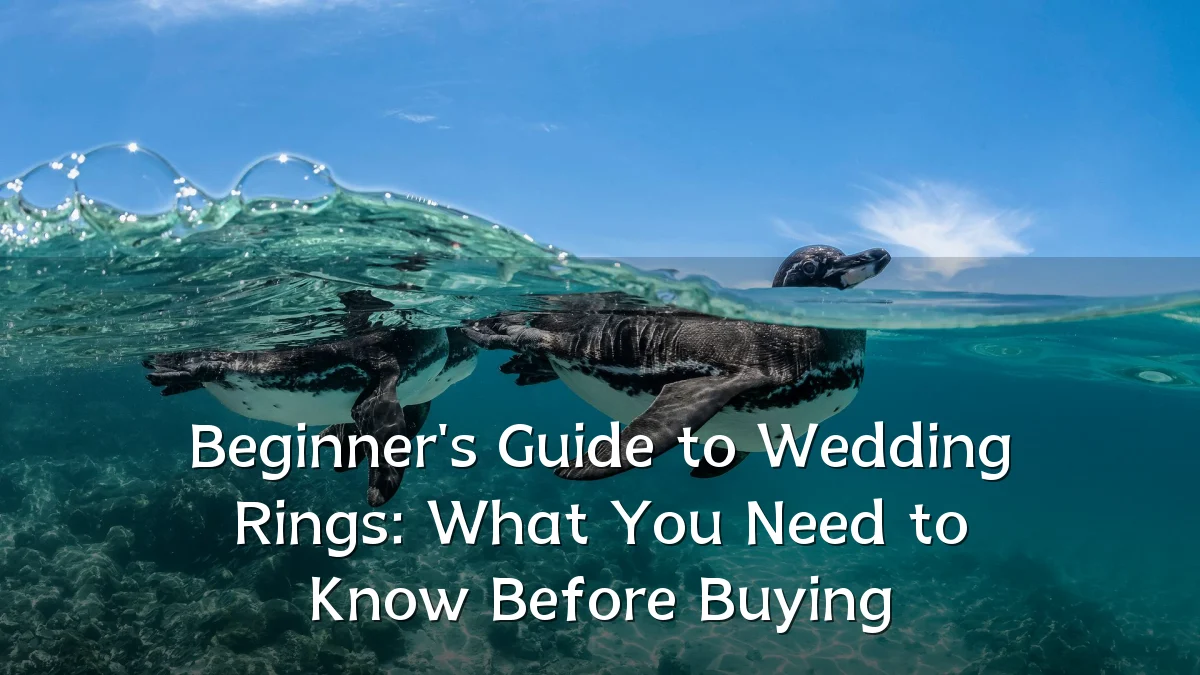 Beginner's Guide to Wedding Rings: What You Need to Know Before Buying