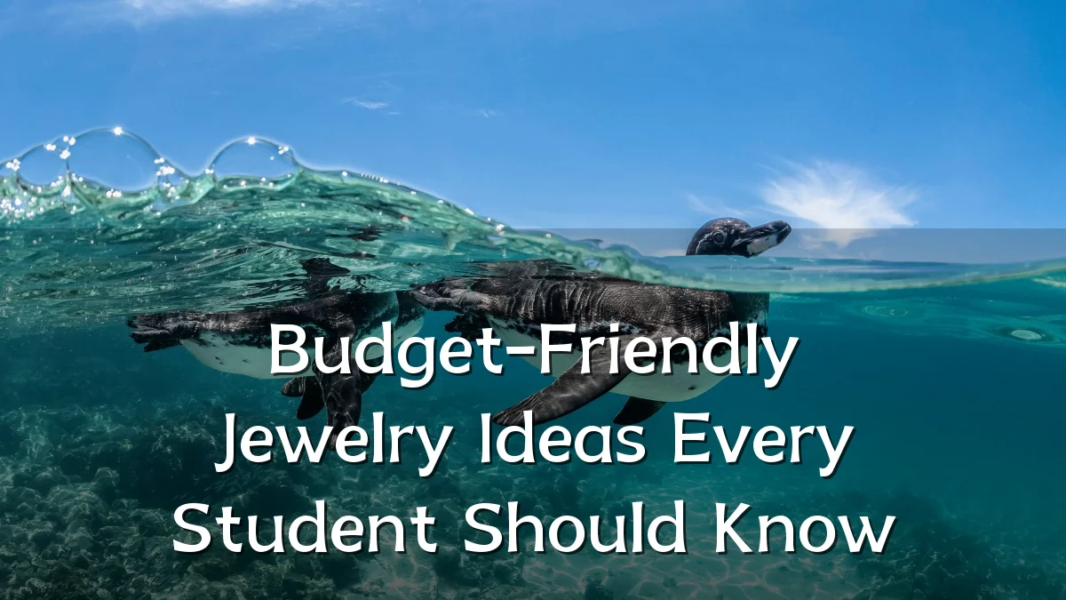 Budget-Friendly Jewelry Ideas Every Student Should Know