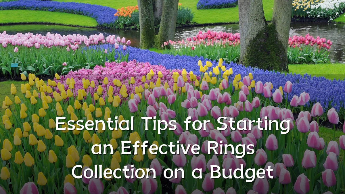 Essential Tips for Starting an Effective Rings Collection on a Budget