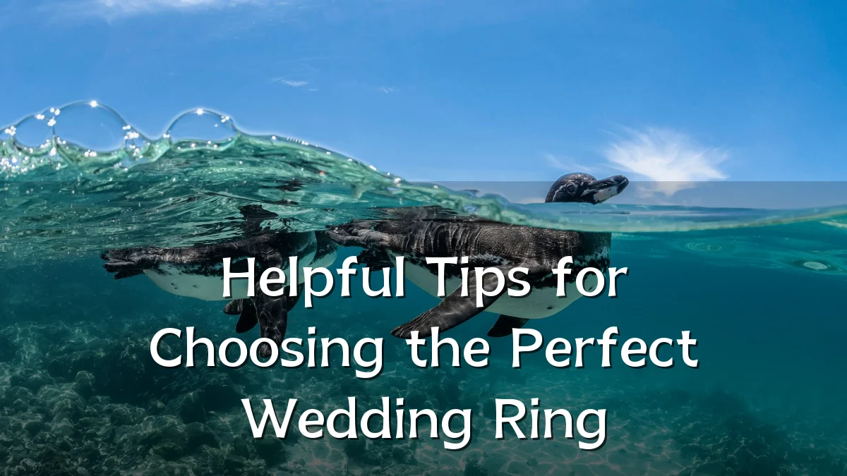 Helpful Tips for Choosing the Perfect Wedding Ring