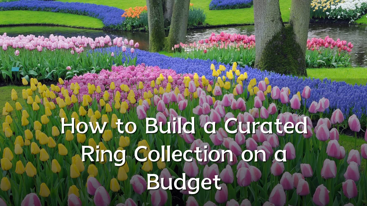 How to Build a Curated Ring Collection on a Budget