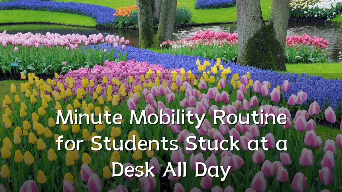 Minute Mobility Routine for Students Stuck at a Desk All Day