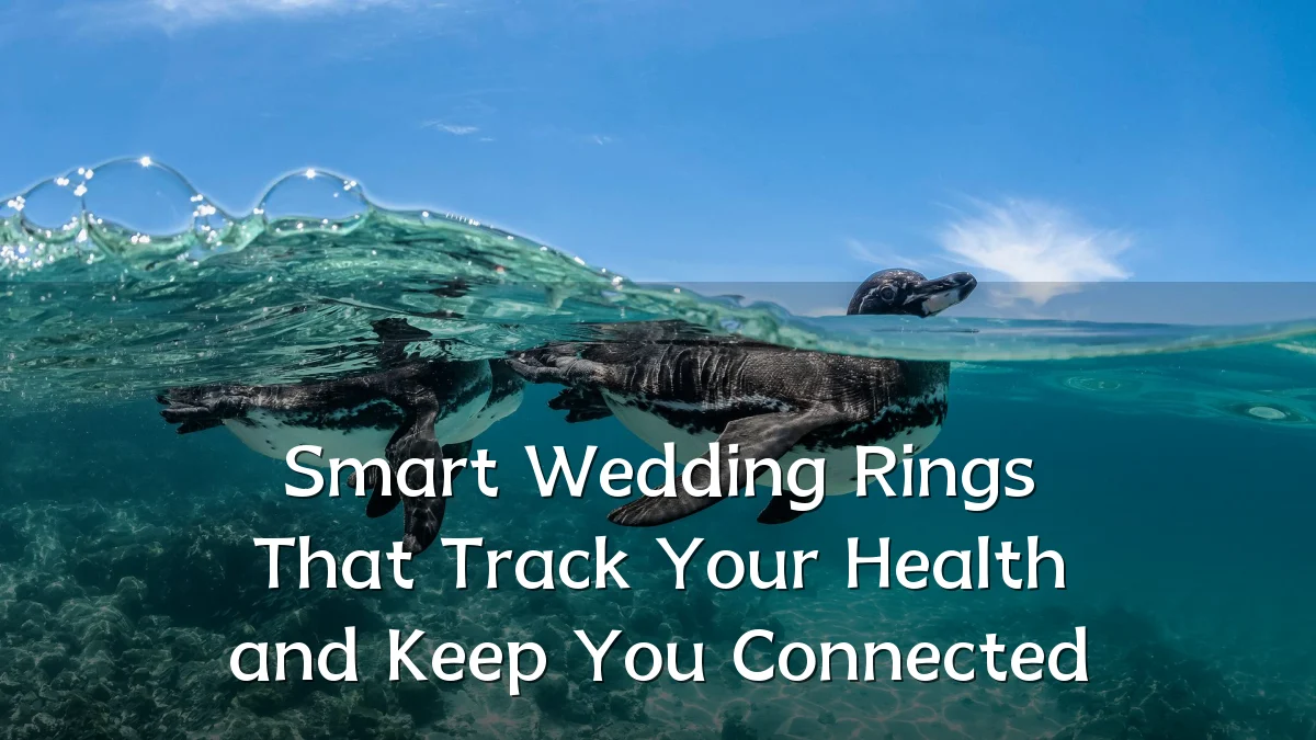 Smart Wedding Rings That Track Your Health and Keep You Connected