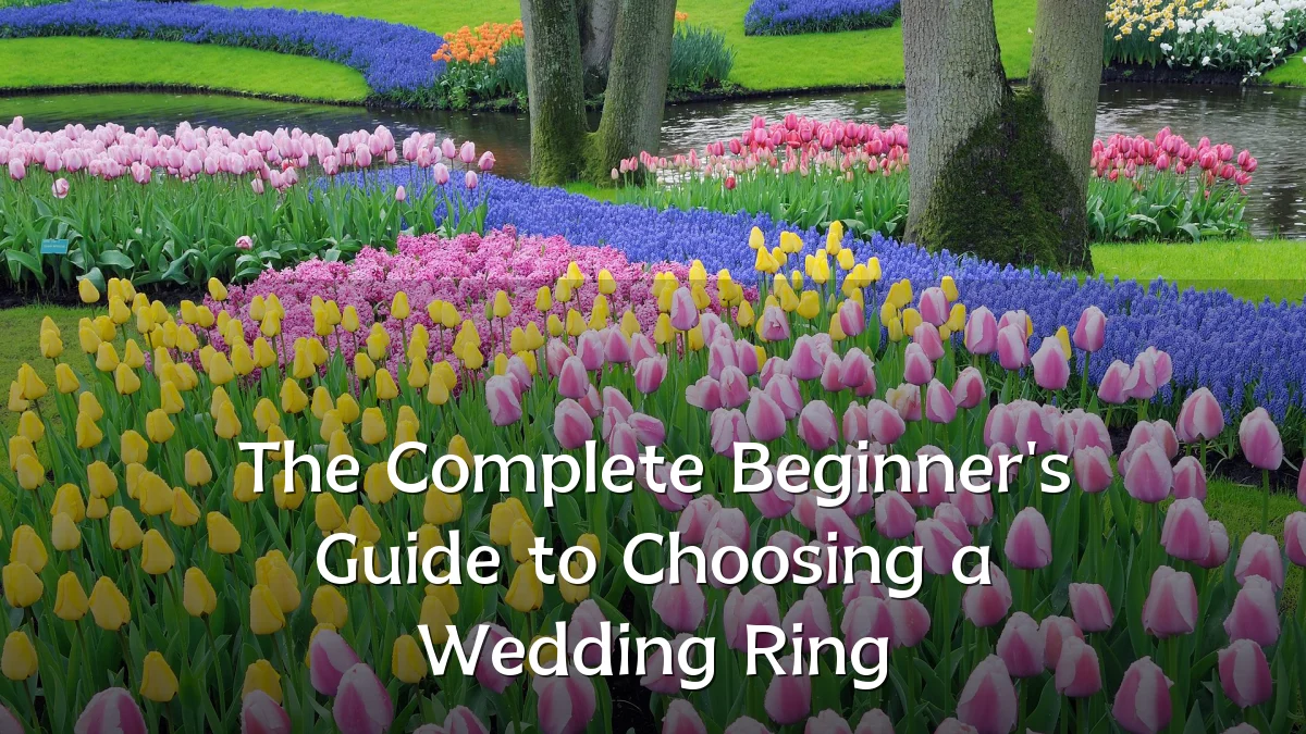 The Complete Beginner's Guide to Choosing a Wedding Ring