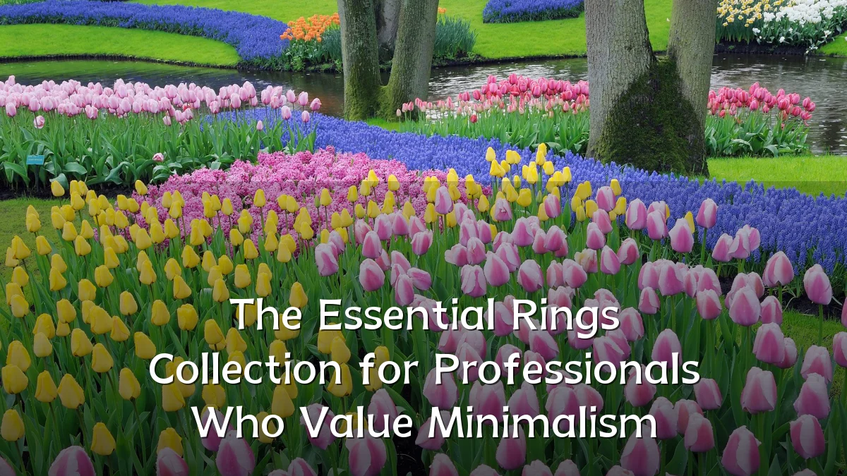 The Essential Rings Collection for Professionals Who Value Minimalism