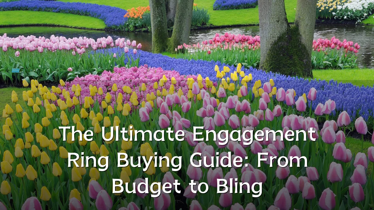 The Ultimate Engagement Ring Buying Guide: From Budget to Bling