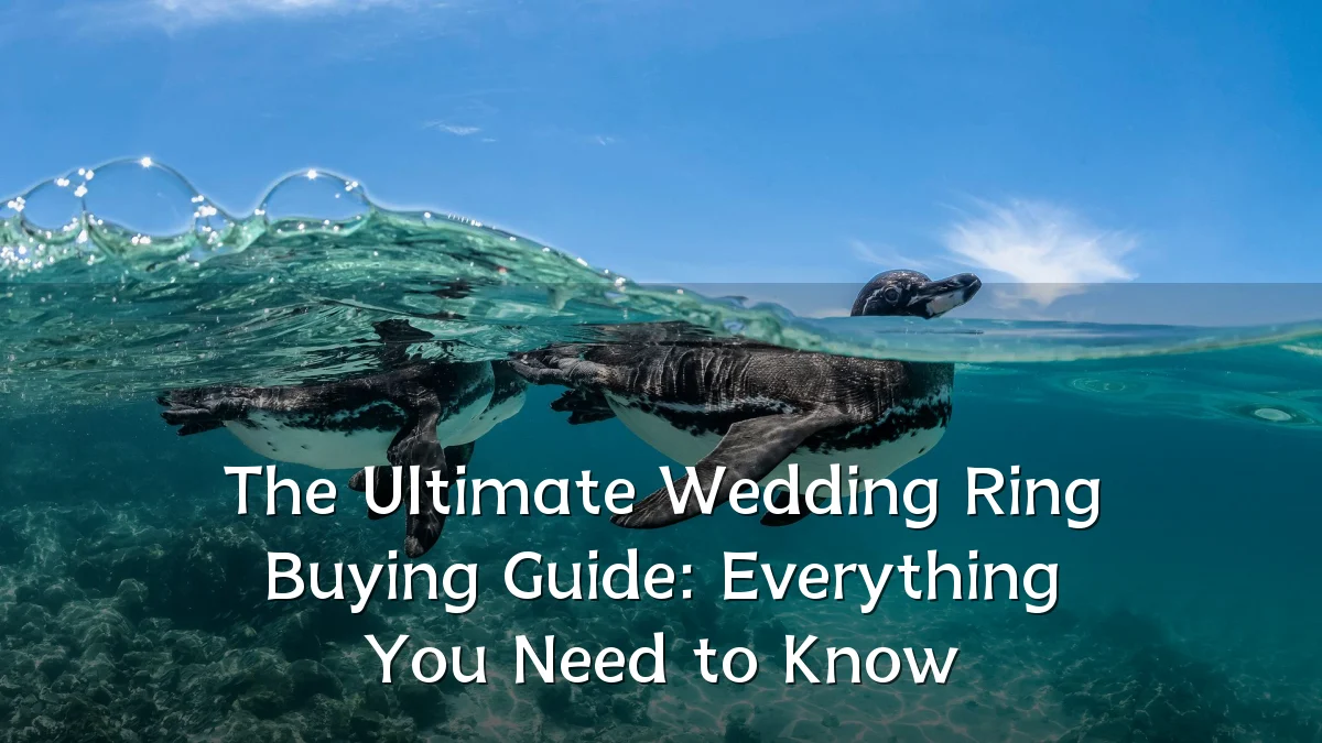 The Ultimate Wedding Ring Buying Guide: Everything You Need to Know