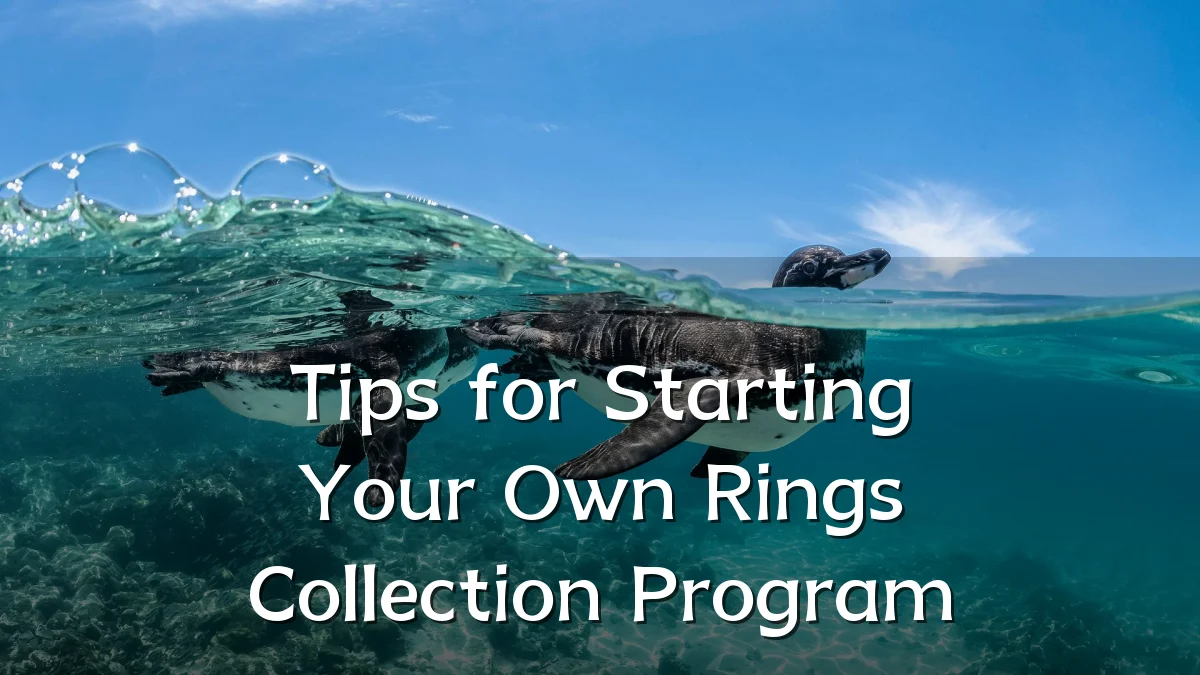 Tips for Starting Your Own Rings Collection Program