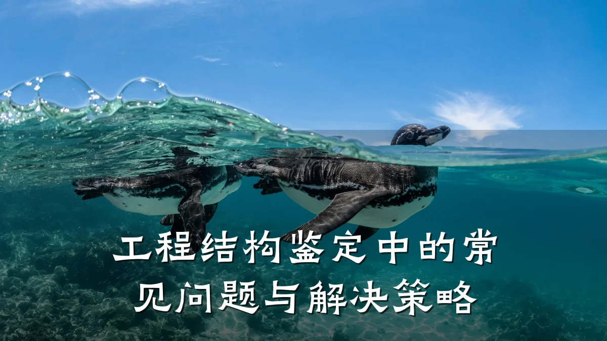 工程结构鉴定中的常见问题与解决策略