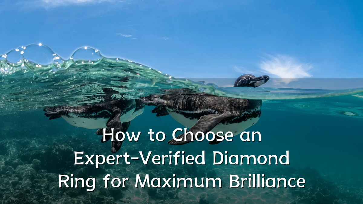 How to Choose an Expert-Verified Diamond Ring for Maximum Brilliance