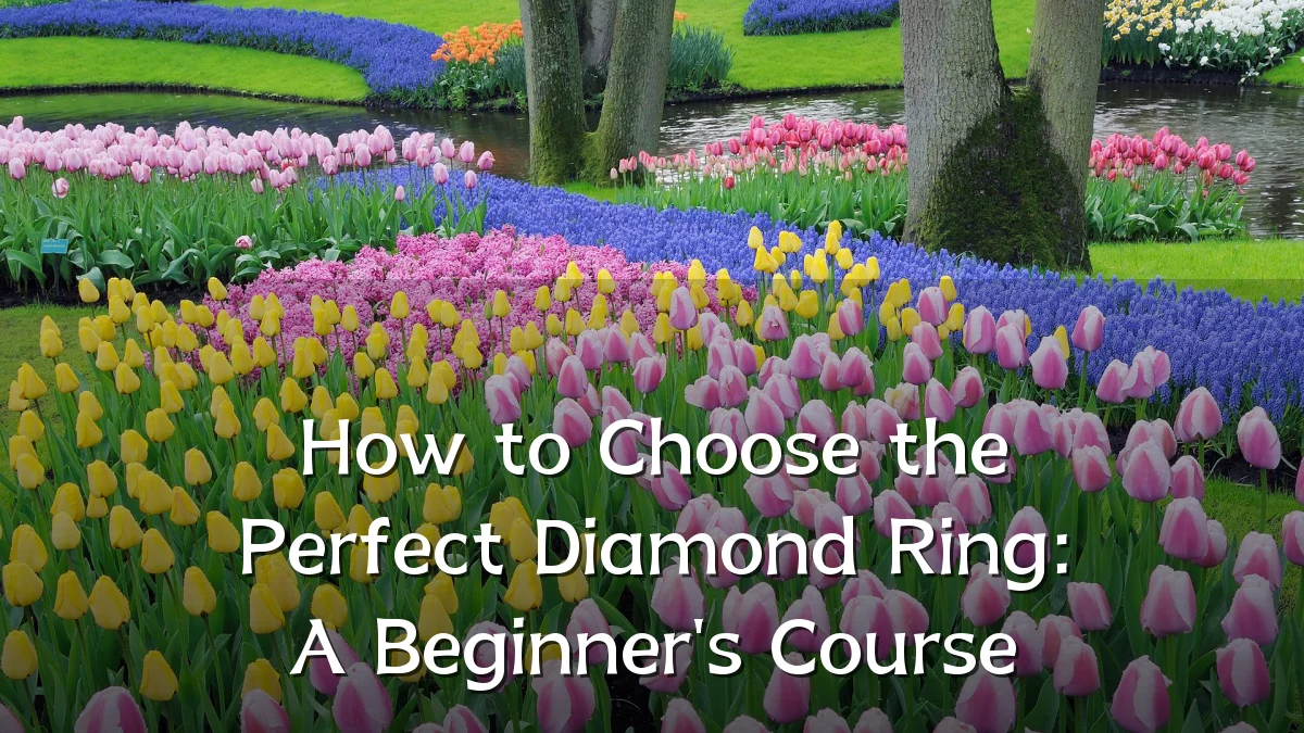 How to Choose the Perfect Diamond Ring: A Beginner's Course