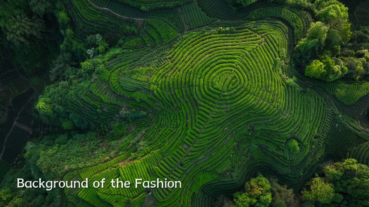 Background of the Fashion