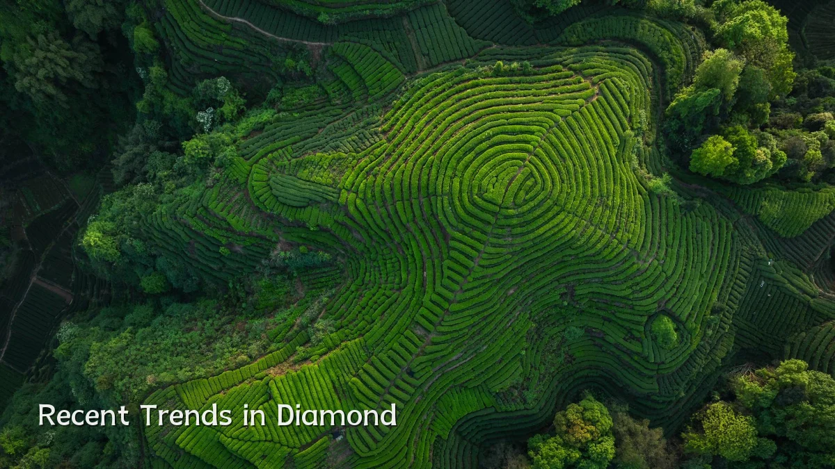 Recent Trends in Diamond
