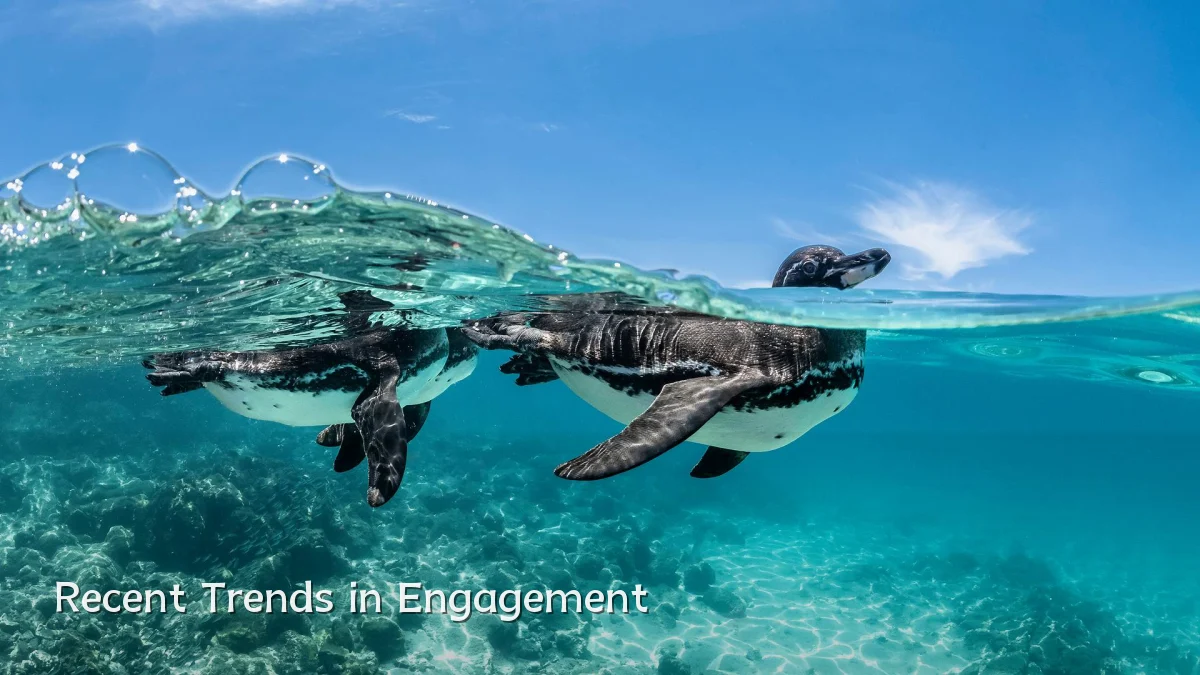 Recent Trends in Engagement