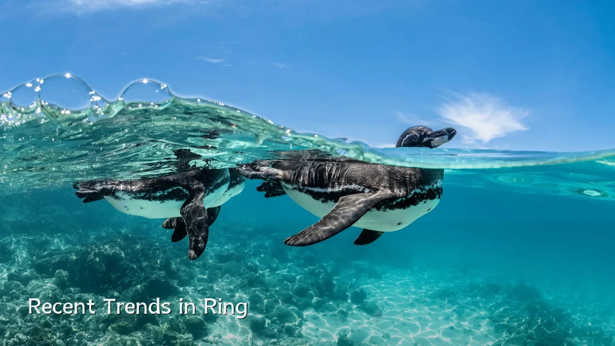 Recent Trends in Ring