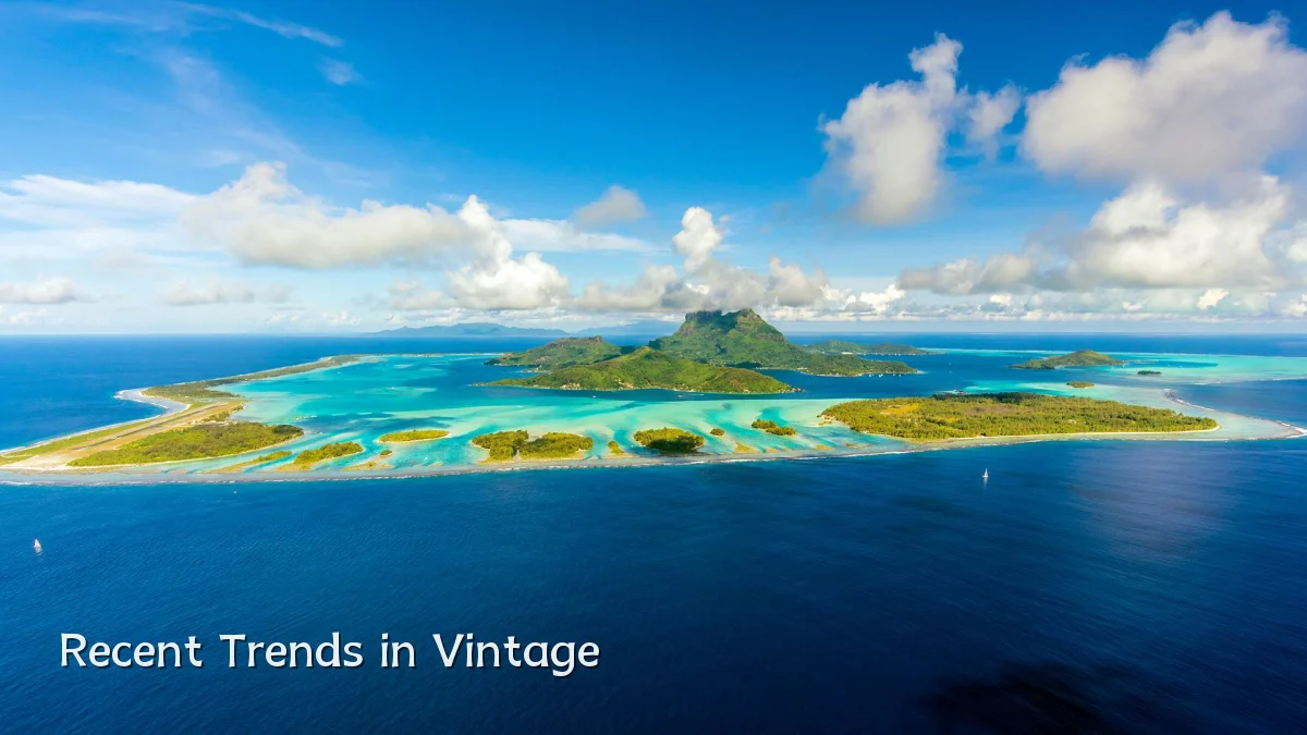 Recent Trends in Vintage