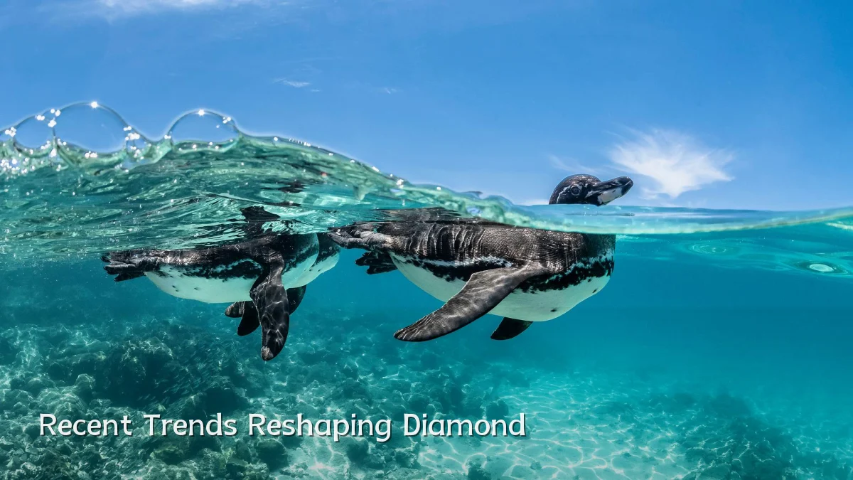 Recent Trends Reshaping Diamond