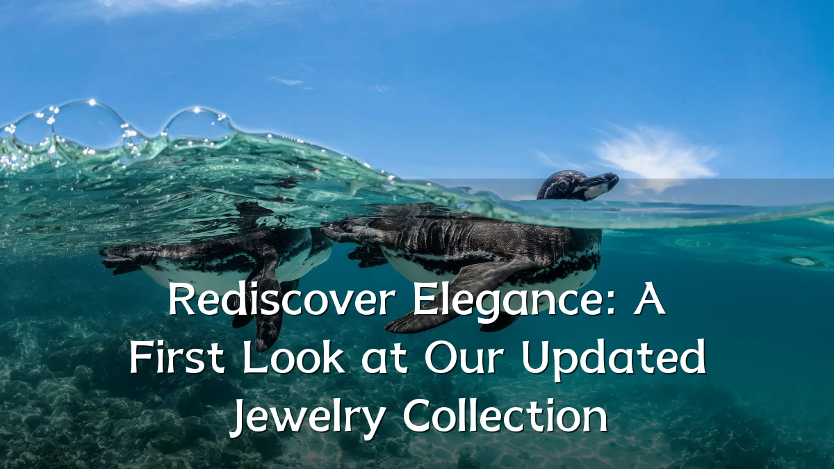 Rediscover Elegance: A First Look at Our Updated Jewelry Collection
