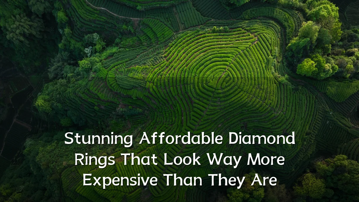 Stunning Affordable Diamond Rings That Look Way More Expensive Than They Are