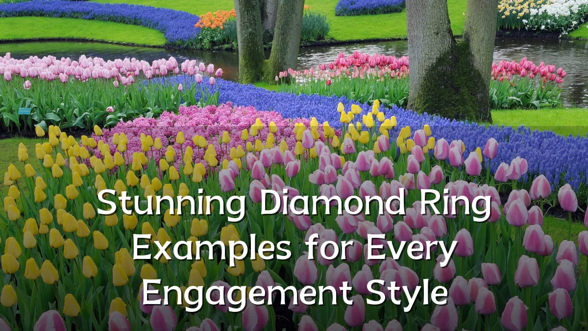 Stunning Diamond Ring Examples for Every Engagement Style