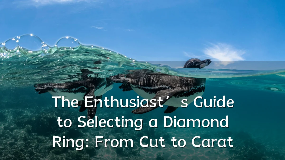 The Enthusiast’s Guide to Selecting a Diamond Ring: From Cut to Carat