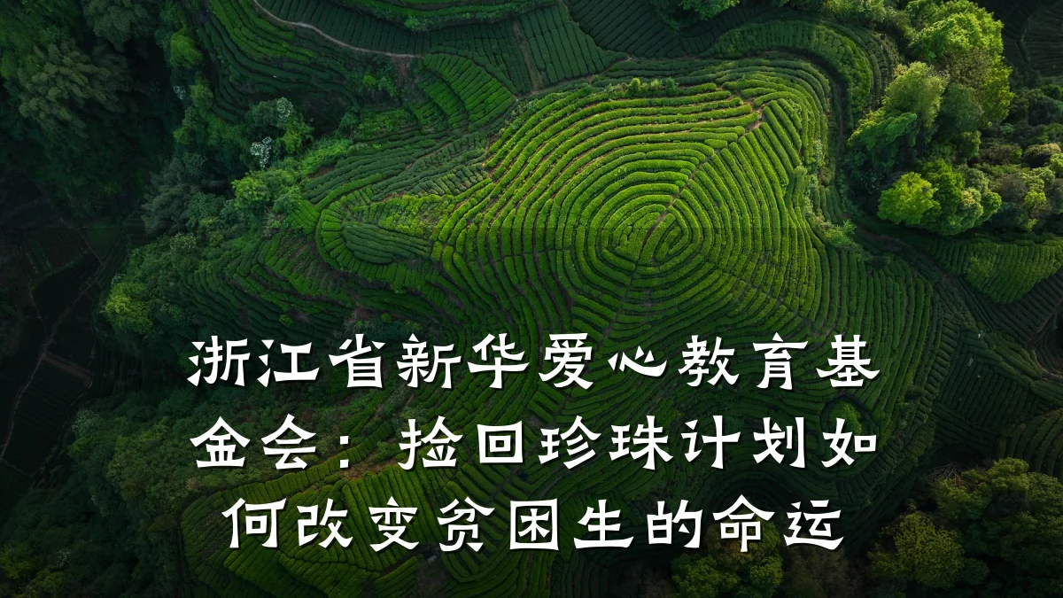 浙江省新华爱心教育基金会：捡回珍珠计划如何改变贫困生的命运
