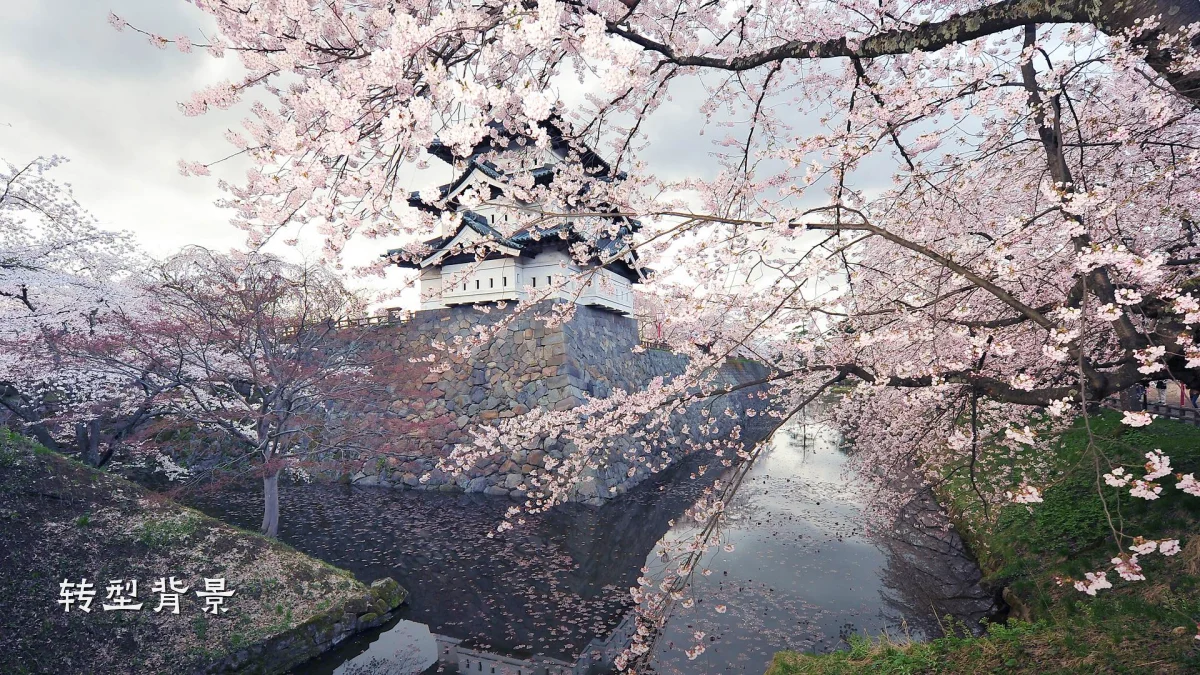 转型背景
